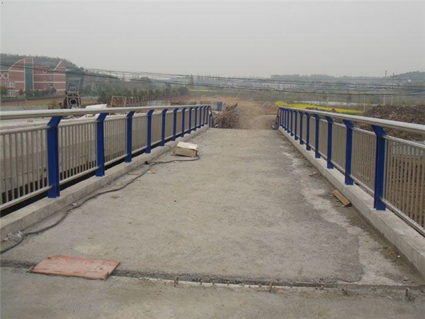 河东桥梁不锈钢护栏